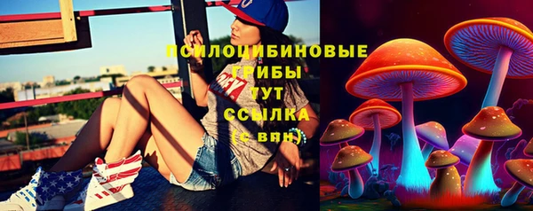мдпв Билибино