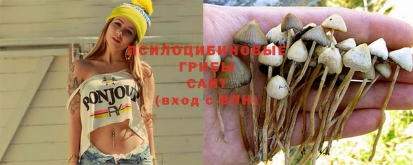 не бодяженный Абаза