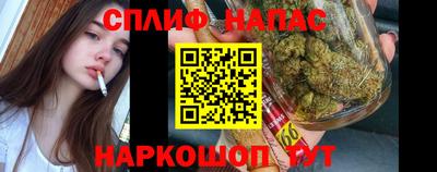 сатива Бийск