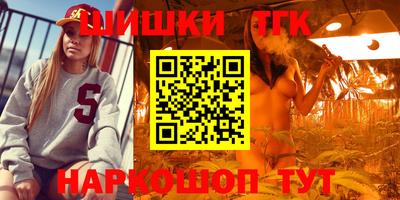 сатива Бийск