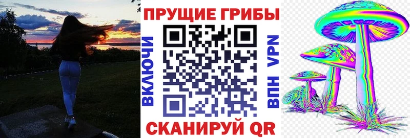 сколько стоит  Барнаул  Псилоцибиновые грибы мухоморы 