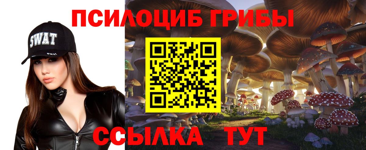Галлюциногенные грибы Cubensis Барнаул